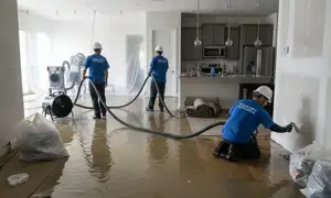 Flood cleanup services in Salinas, CA for fast water damage restoration on the homepage widget